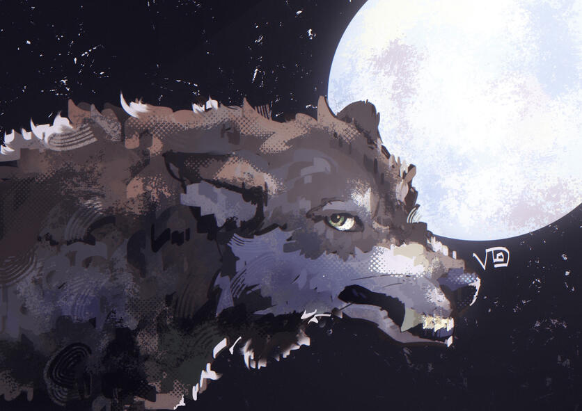 Full Moon Wolf Illustration