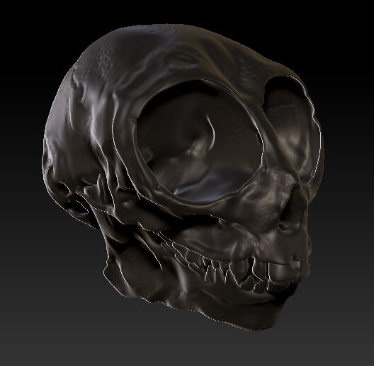Skull Sculpt